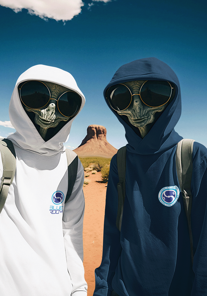 BRS HOODIES