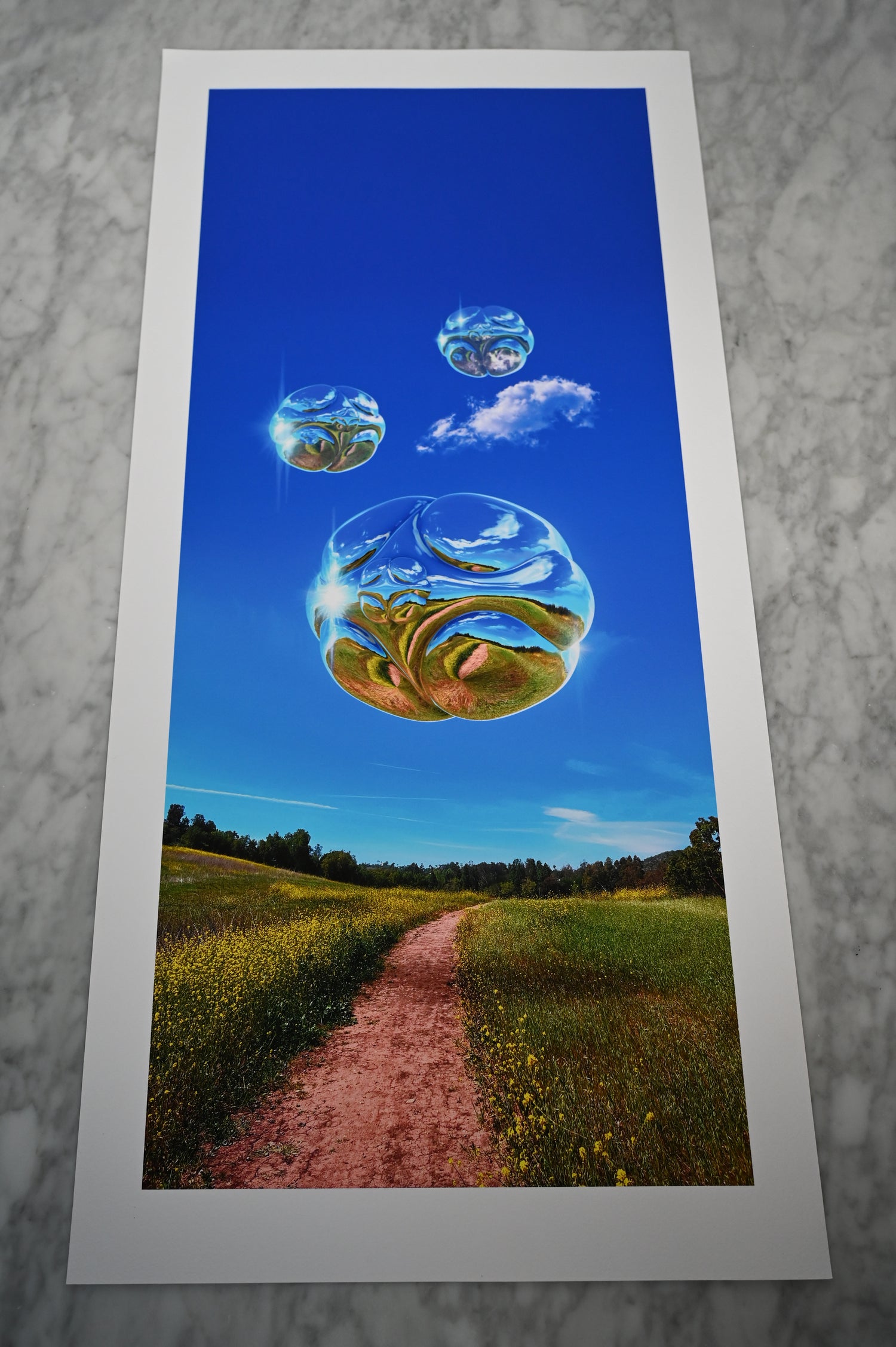 Skylark — Metallic Sphere Print
