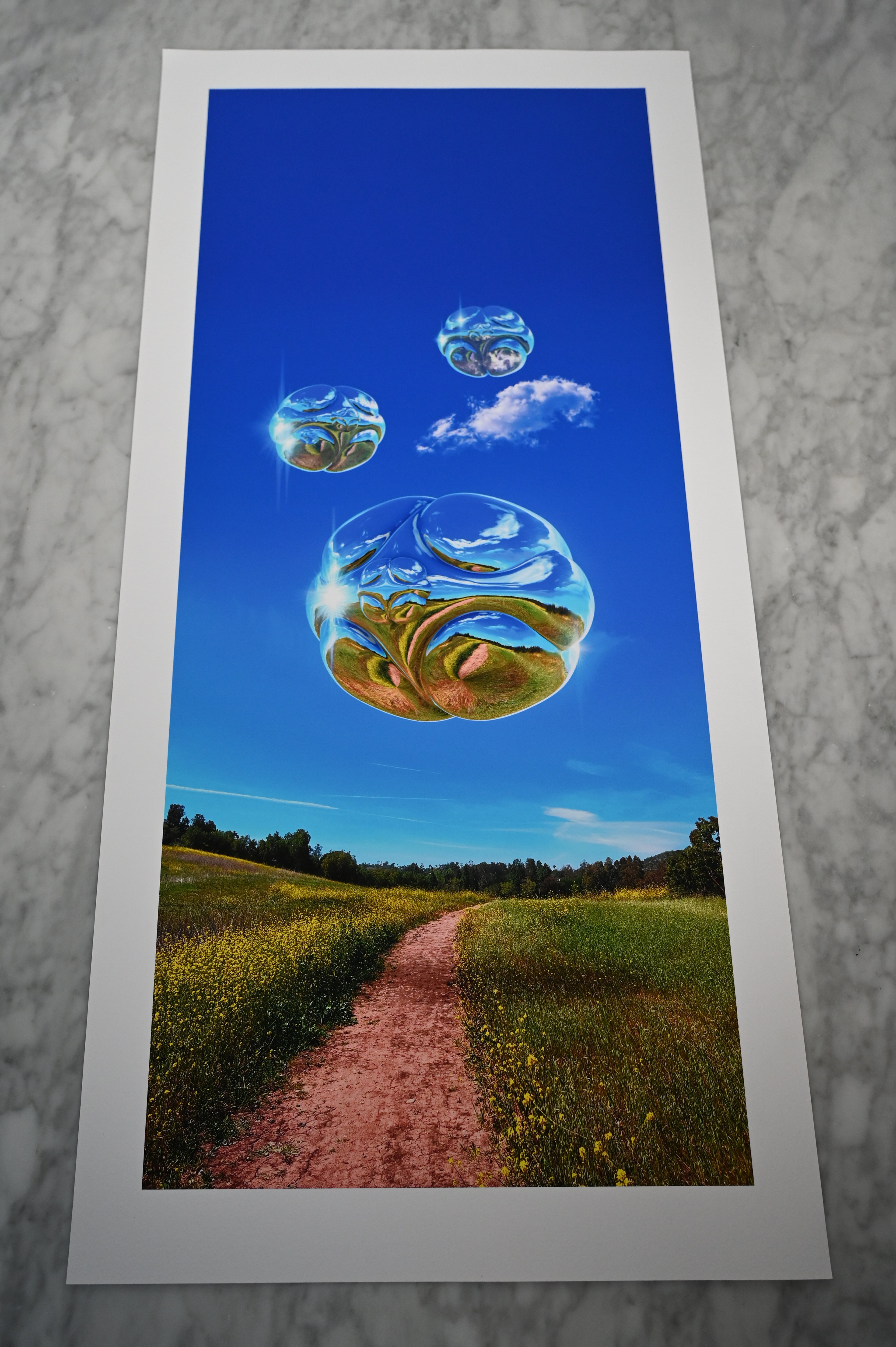 Skylark — Metallic Sphere Print