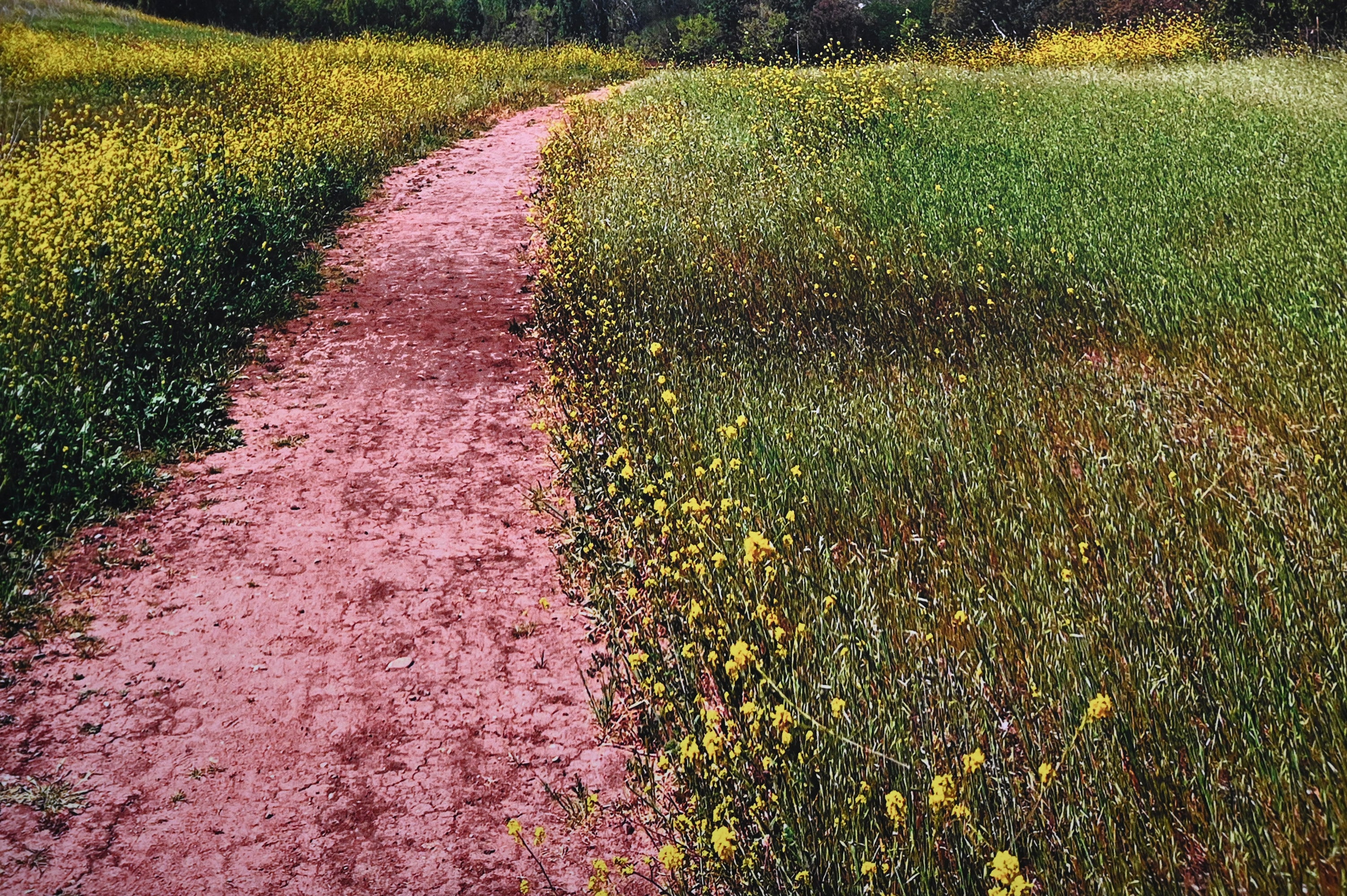 Skylark — Metallic Sphere Print