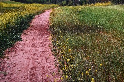 Skylark — Metallic Sphere Print