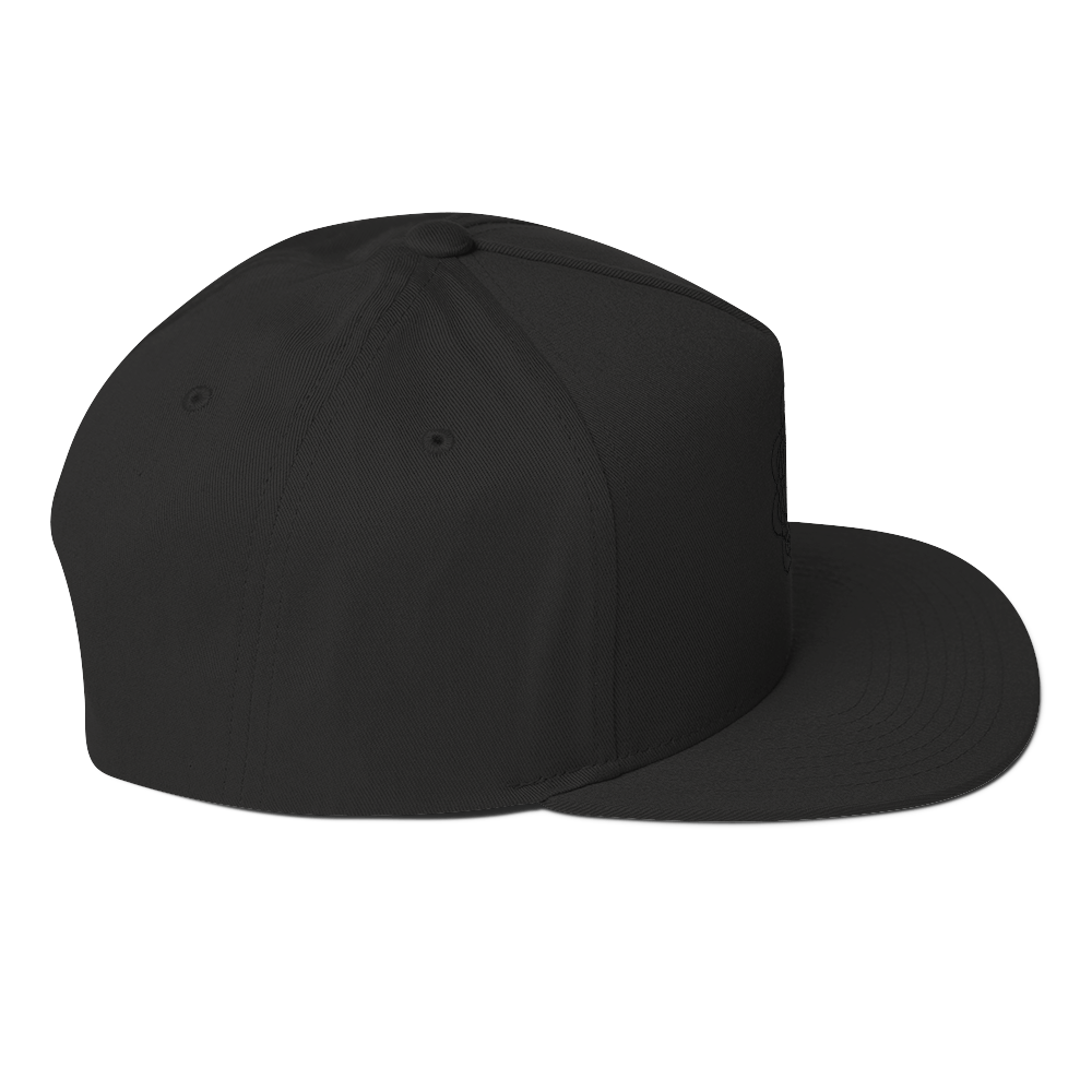 Blue Room Embroidered Snapback