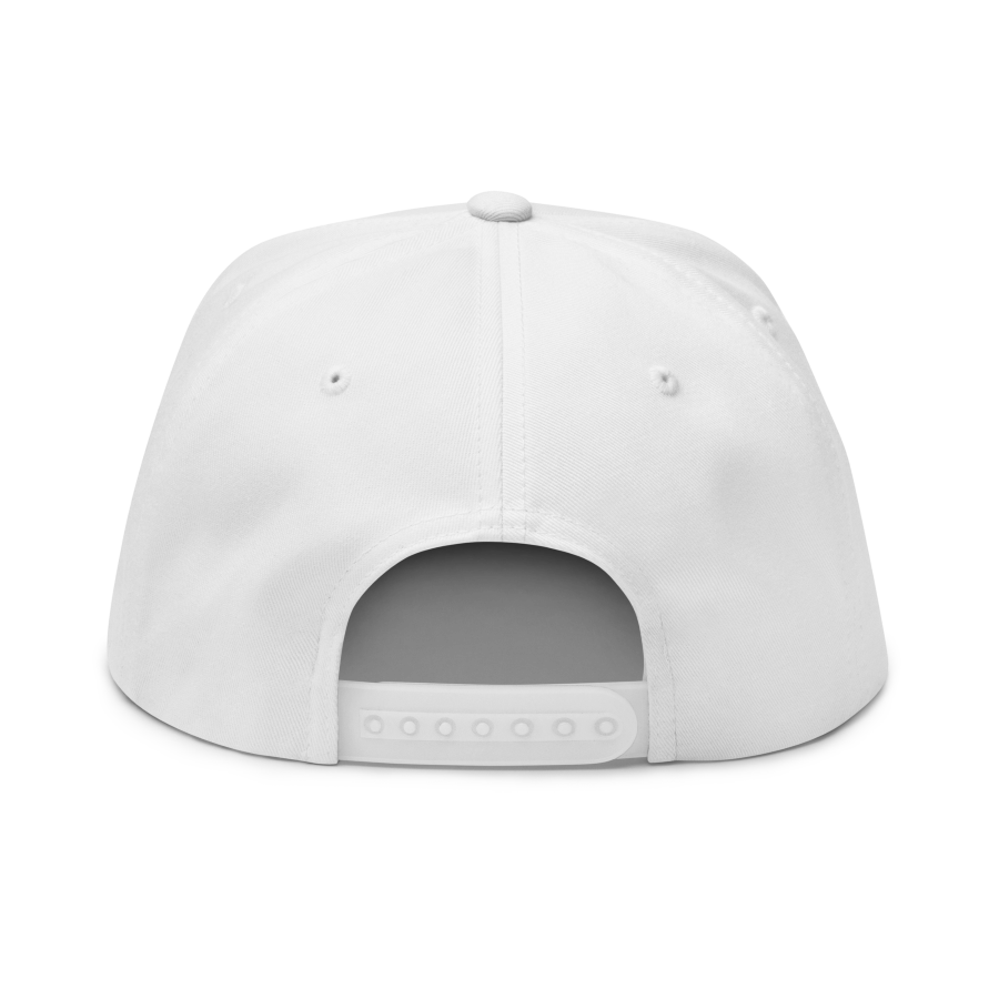 Music Inspired Snapback Hat